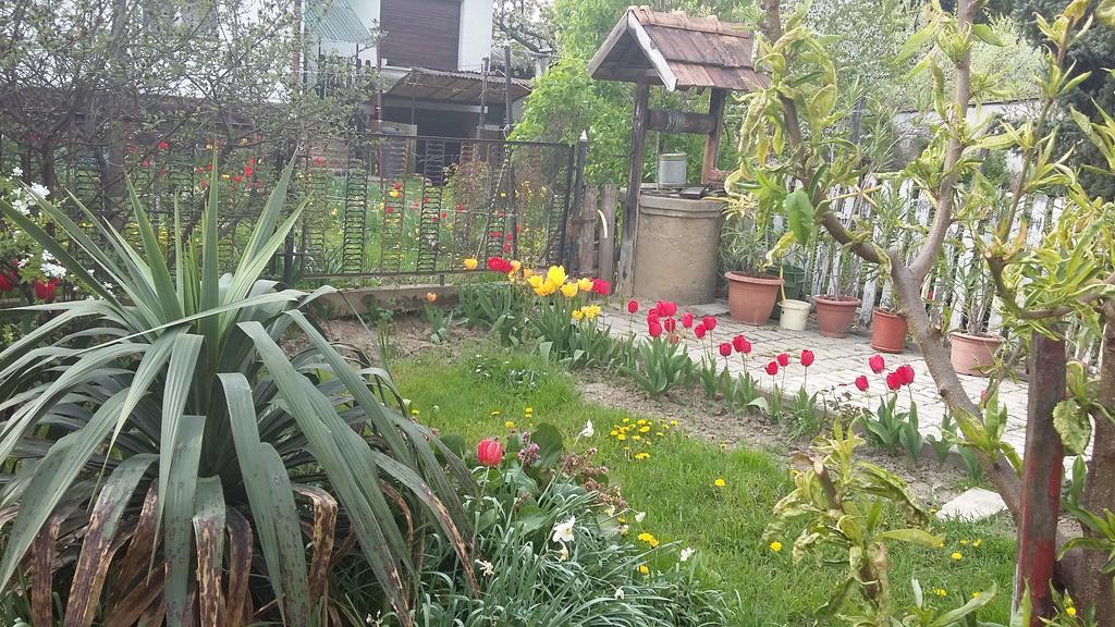 Alom Kucko Apartman Залаегерсег Екстер'єр фото
